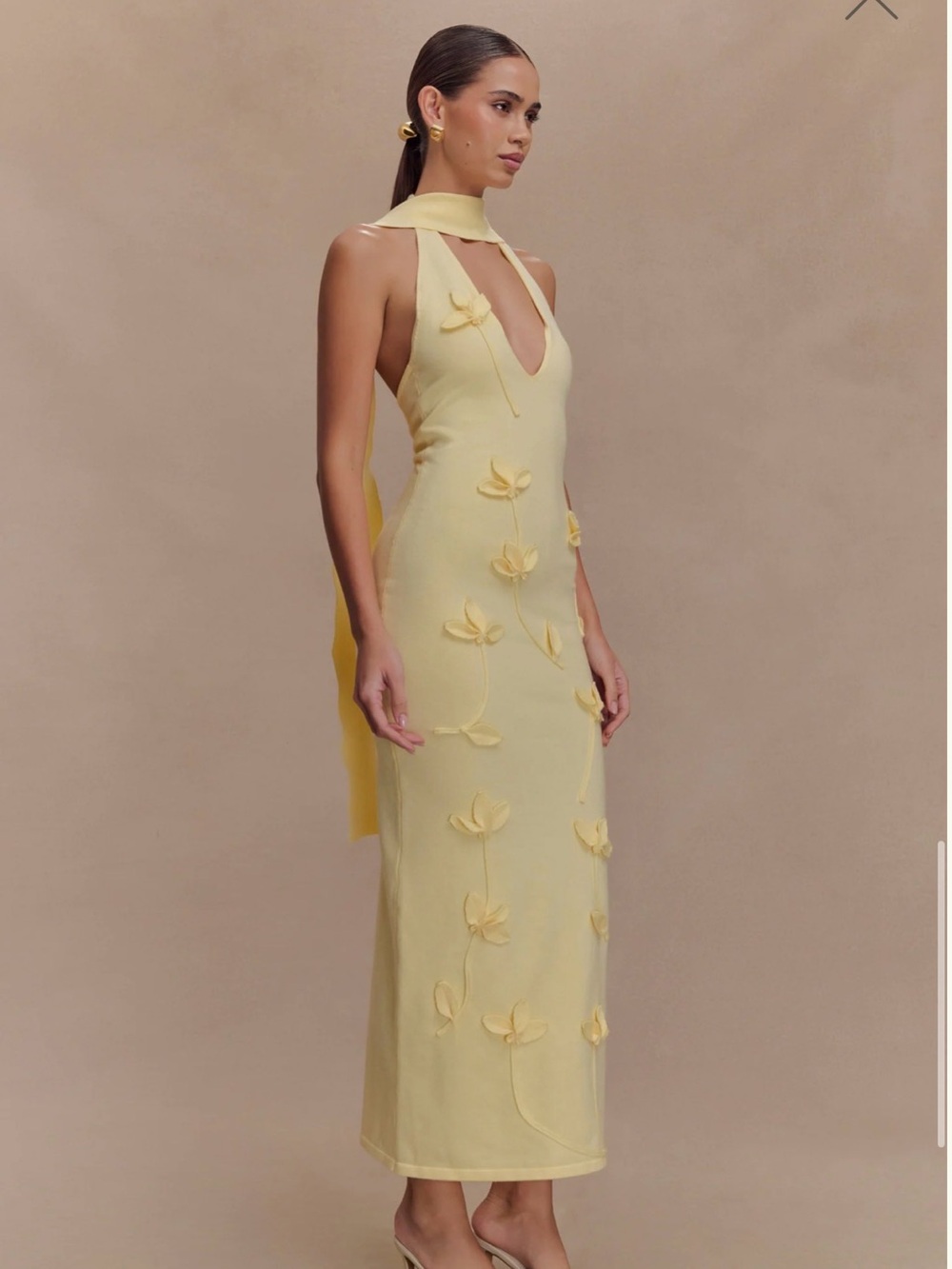 Meshki Yellow Floral Appliqué Midi Dress - Picture 5 of 6